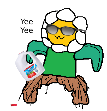 An image of an anthopomorphic oxeye daisy, the daisy is squating while holding a realitic jug of milk which has been opened, they are wearing realistic sunglasses, and the text Yee Yee accompanies the daisy.